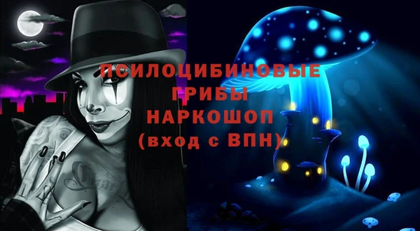 мдпв Дмитров