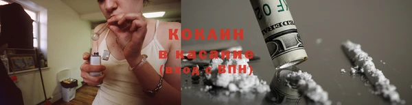 мдпв Дмитров