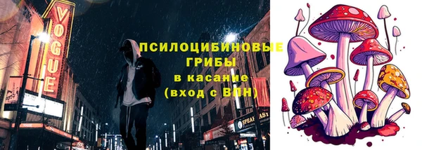 ECSTASY Дмитриев