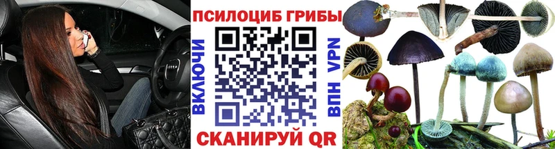 Псилоцибиновые грибы Psilocybine cubensis  Купить  Петровск-Забайкальский 
